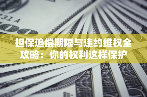 济南担保追偿期限与违约维权全攻略：你的权利这样保护